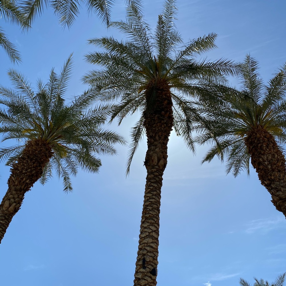 Meet your Posher, Rachel